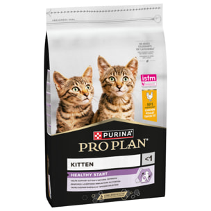 PRO PLAN Kitten 1-12 mois HEALTHY START Poulet 10kg