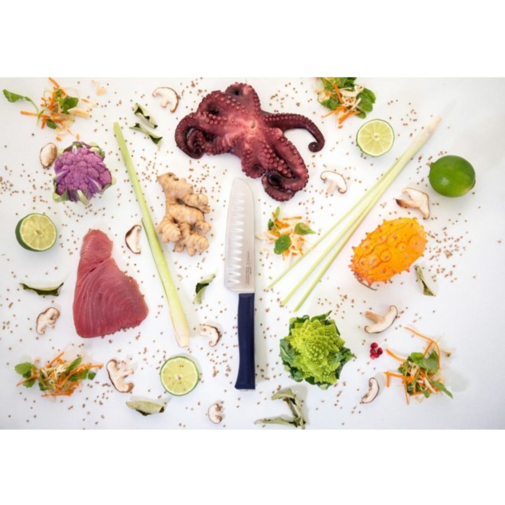 Couteau japonais OPINEL Santoku Intempora No219