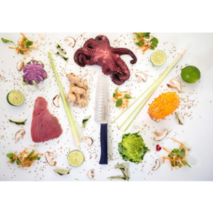 Couteau japonais OPINEL Santoku Intempora No219