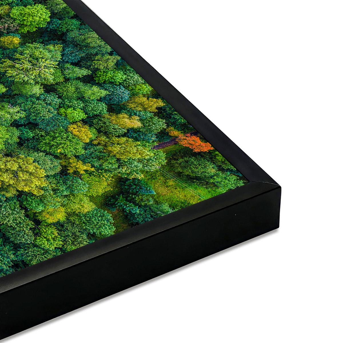 Affiche encadrée – Vue aérienne de forêt luxuriante Affiche + cadre en métal - Noir