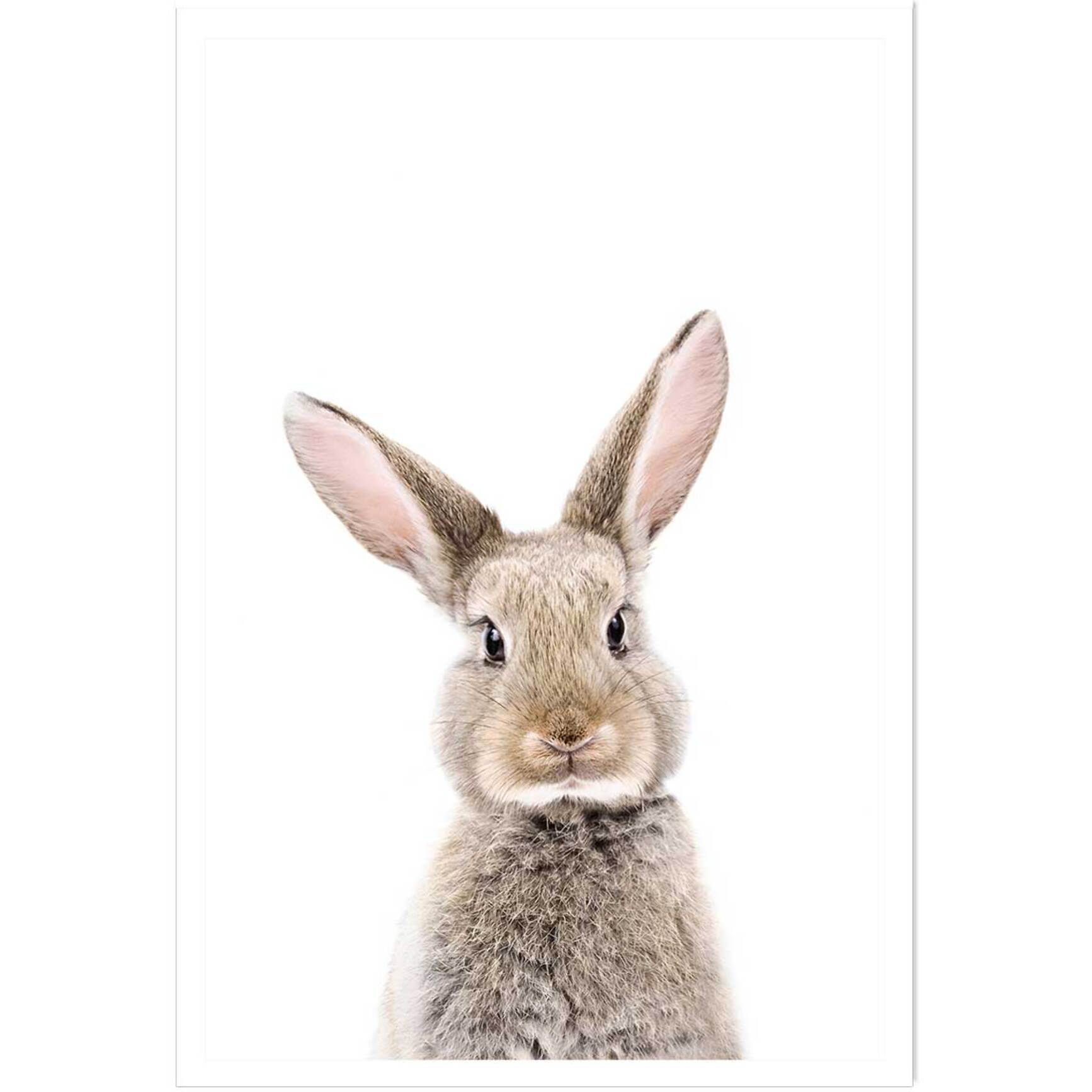 Affiche enfant bébé lapin Affiche seule