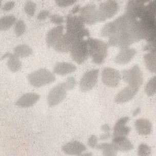 Papier peint panoramique Ombres d'Hêtre Intissé