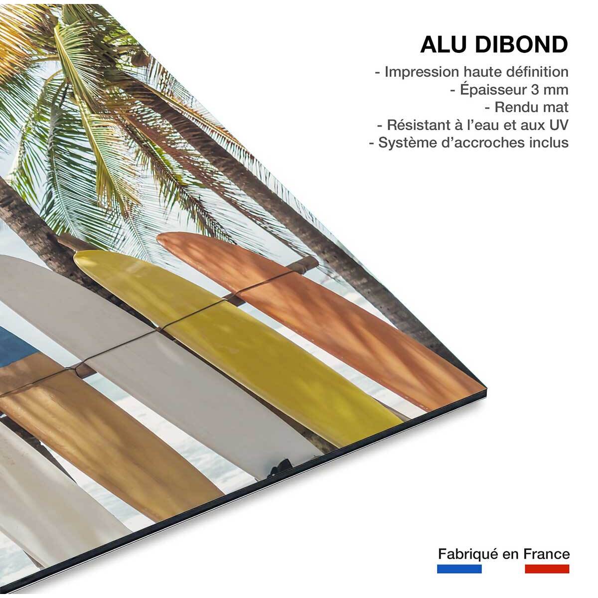 Tableau surf surf et coconut  Tableau alu Dibond