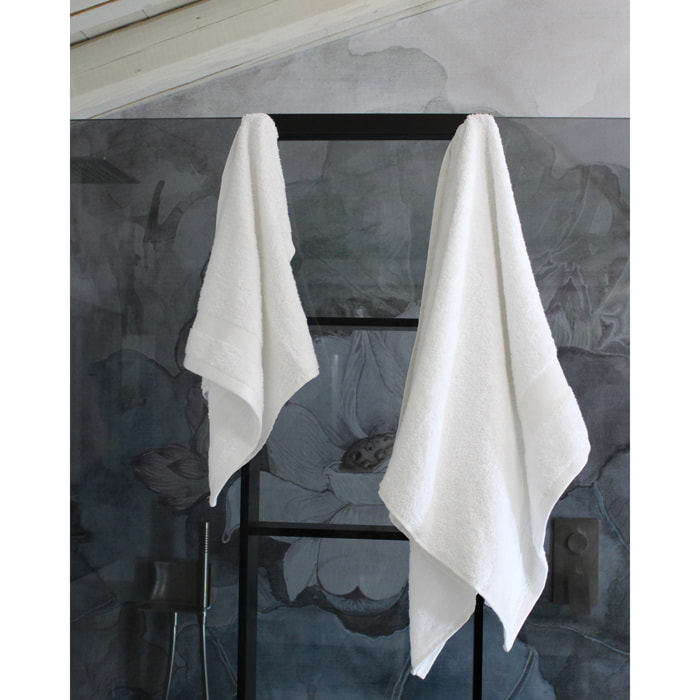 Set Spugna Viso + Ospite