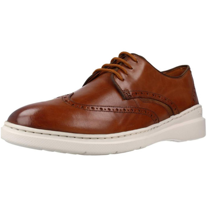 DERBIES - OXFORD CLARKS DENNET WING