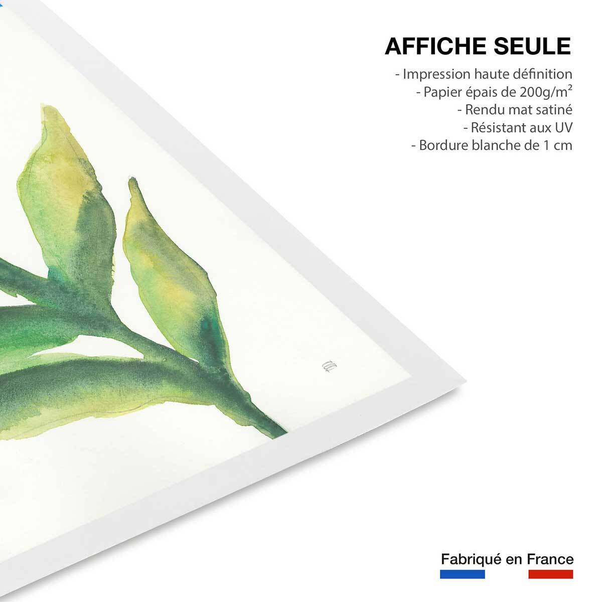 Affiche Plante aloe watercolor Affiche seule