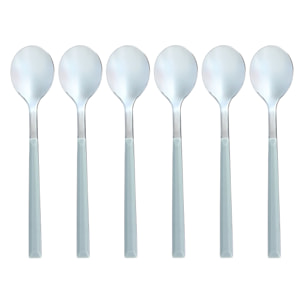Lot de 6 cuillères à café grises en acier inoxydable COLORAMA
