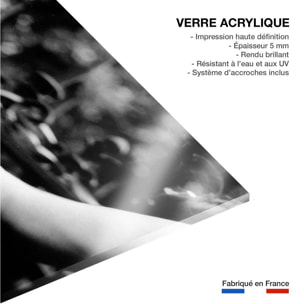 Tableau dalida en 1961  Tableau plexiglas