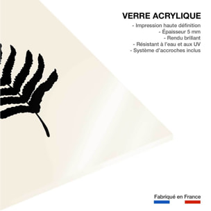 Tableau black fougères Tableau plexiglas