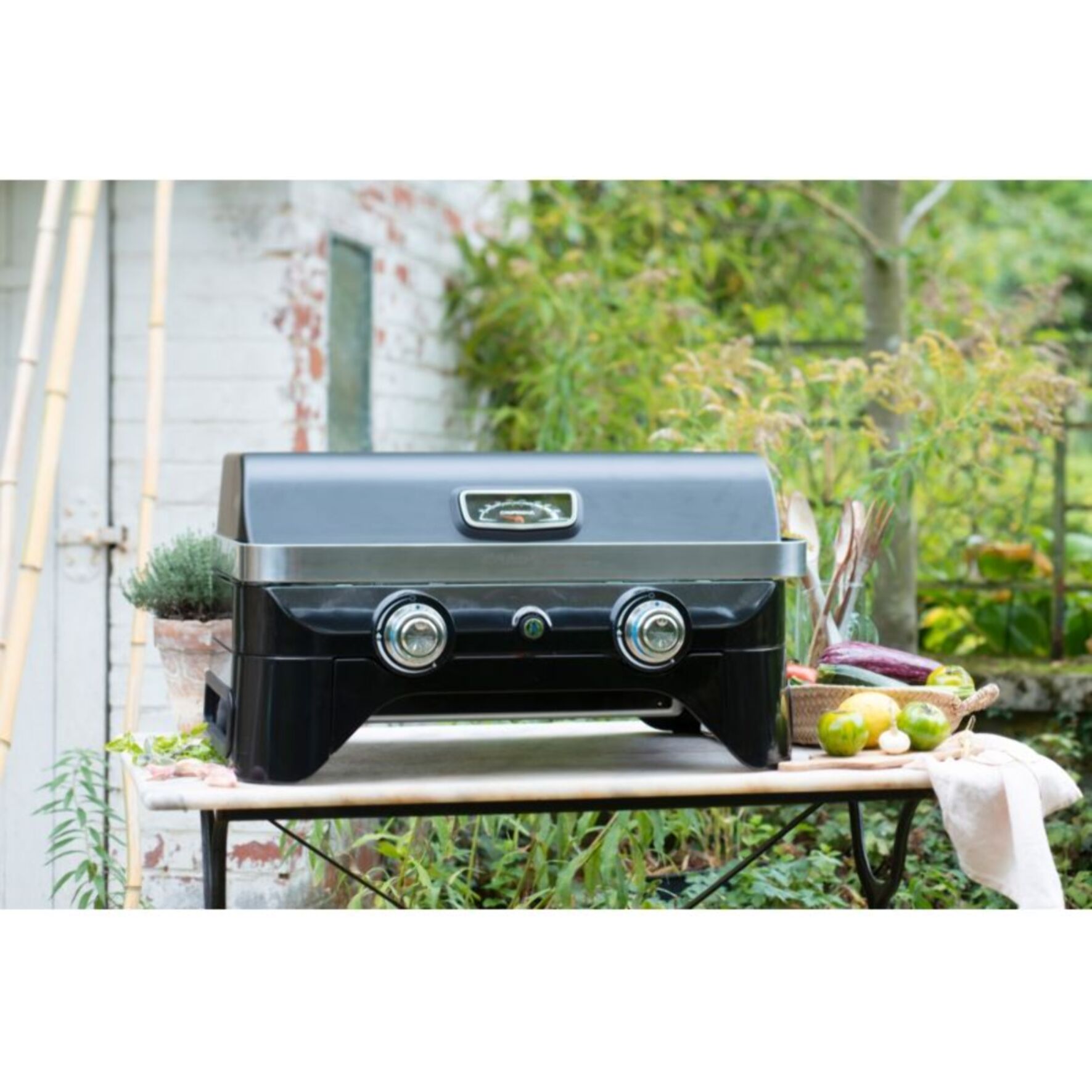 Barbecue gaz CAMPINGAZ Attitude LX noir 2 brûleurs à poser, 58x36 cm