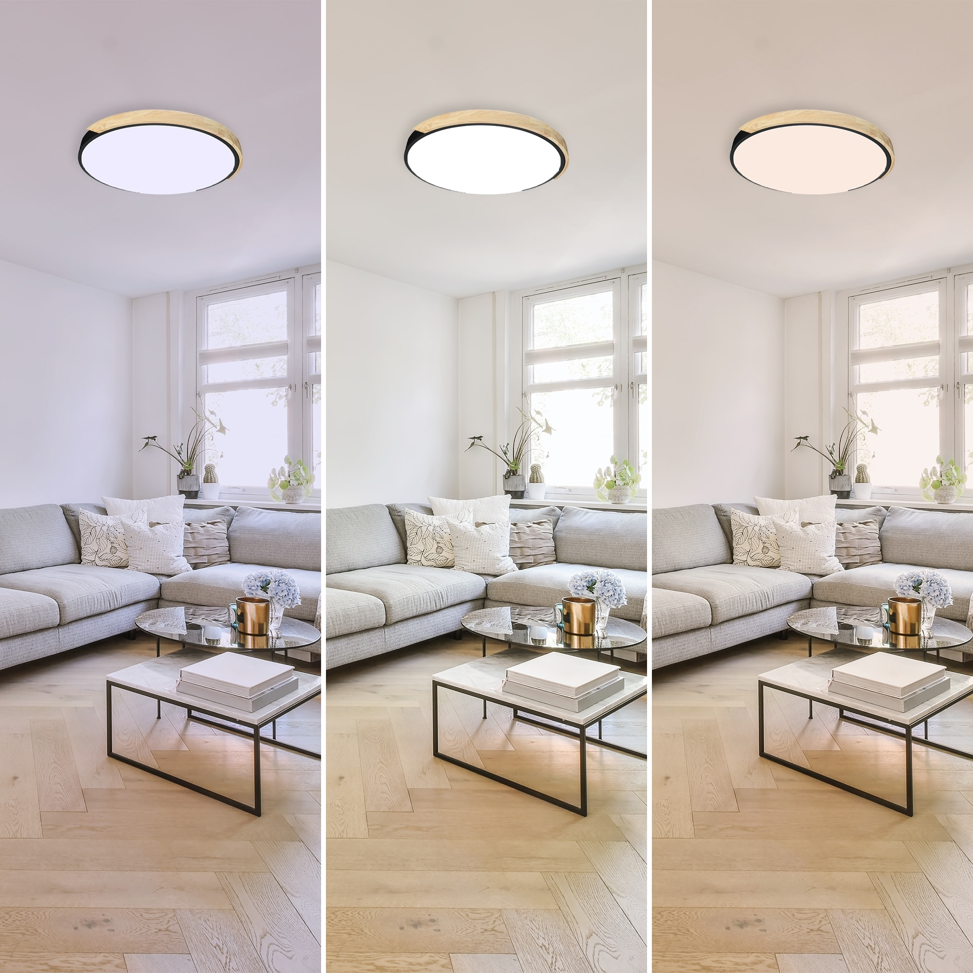 Forlight - Plafón LED Regulable 64W para Interiores, Diseño Moderno en Acero Negro y Madera, Luz Ajustable 3000K-6000K, Diámetro 600mm, Ideal para Techos Bajos y Espacios Amplios