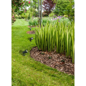 FORLIGHT Proyector Ip65 Neo Led 4,5W 3000K Negro 504Lm