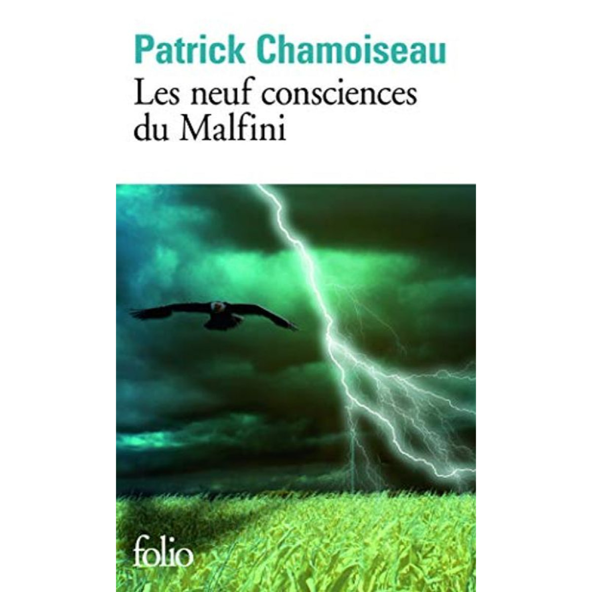 Chamoiseau,Patrick | Les neuf consciences du Malfini | Livre d'occasion