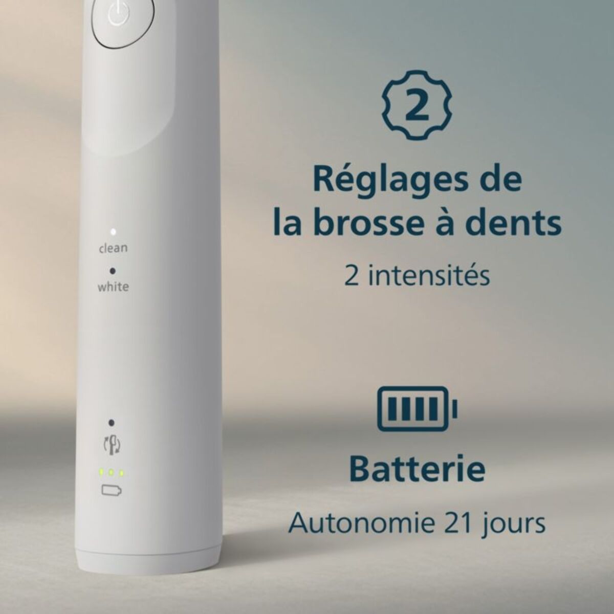 Brosse à dents électrique PHILIPS Sonicare 5500 series HX7110/01