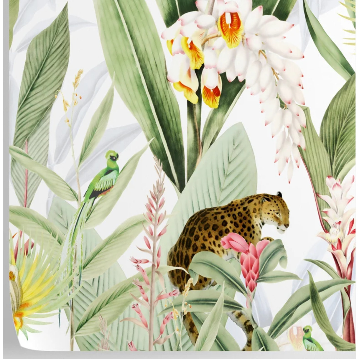 Carta da parati Jungla Tropicale Chic Bianca e Verde