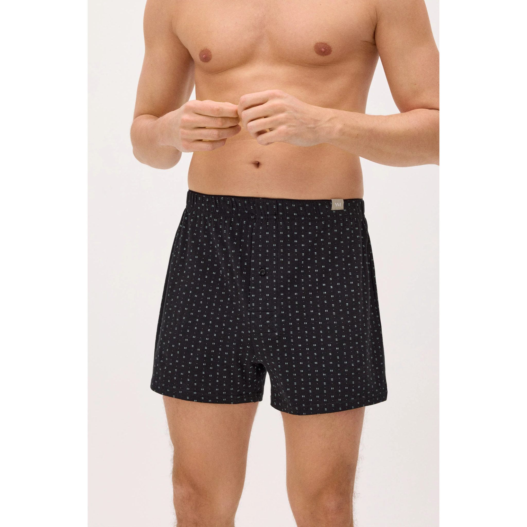 Boxer