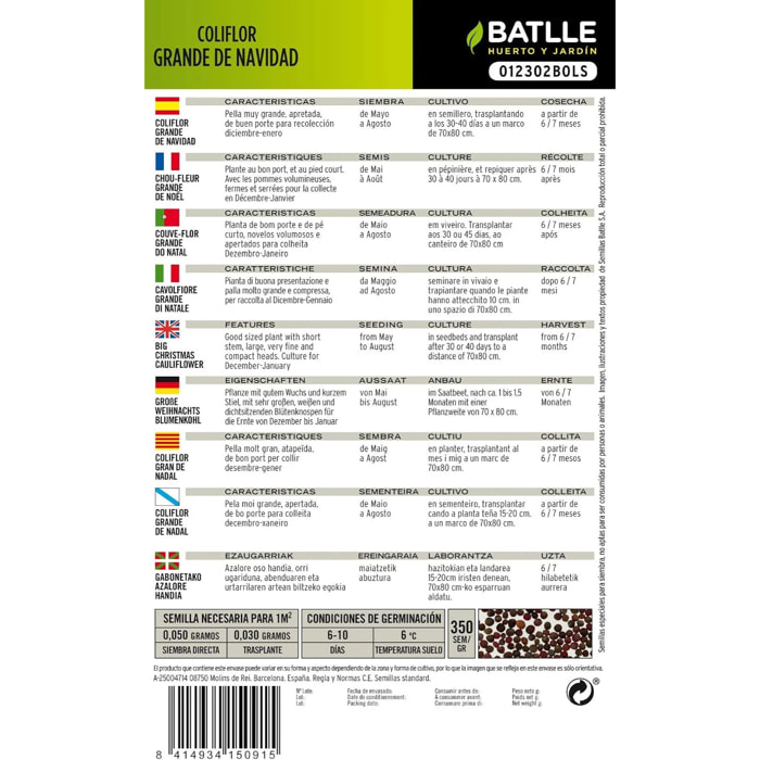 Semillas de Coliflor grande de Navidad Batlle