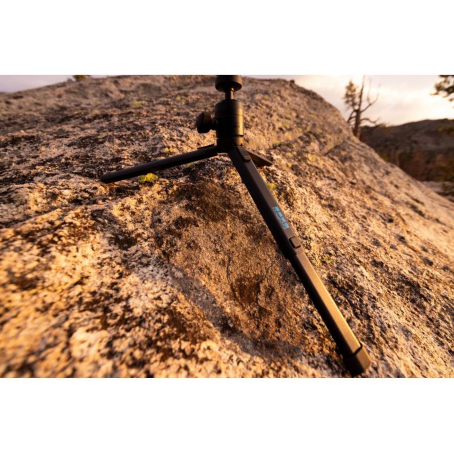 Trépied GOPRO Tripod + Ball Head