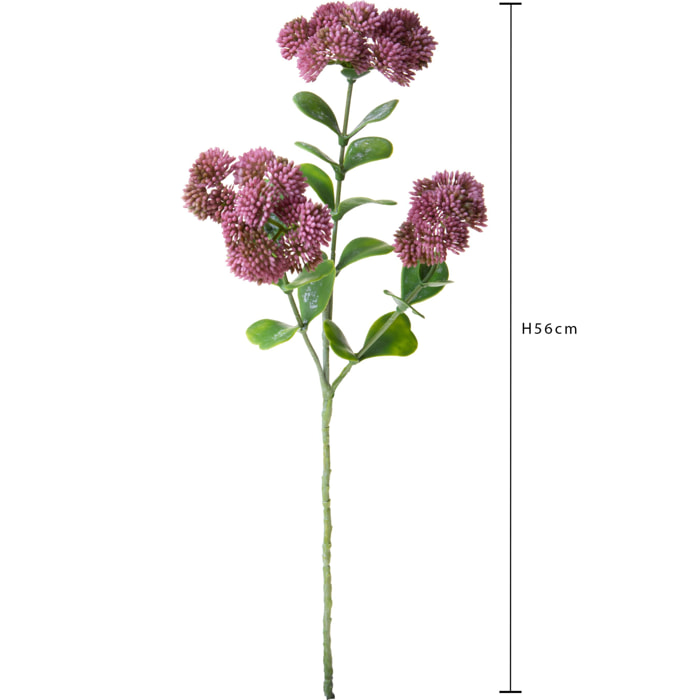 Sedum per 3 altezza 56 Cm - Pezzi 6 - 17X56X17cm - Colore: Viola - Bianchi Dino - Fiori Artificiali