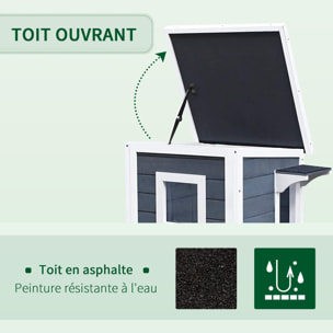 Maisonnette pour chat sur pied 2 niveaux - toit ouvrant bitumé - bois sapin pré-huilé peint gris blanc