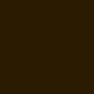 Hyaluronic Serum Skin Tint - N9 DEEP EBONY