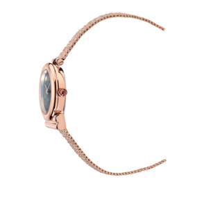 Ferragamo Reloj Analógico De Cuarzo. Gancini Stone