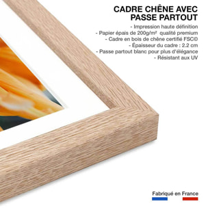 Affiche fleurs coeur de chrysanthème Affiche + cadre en bois - Chêne