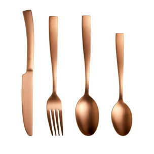AM. Ménagère 24pcs modèle Austral