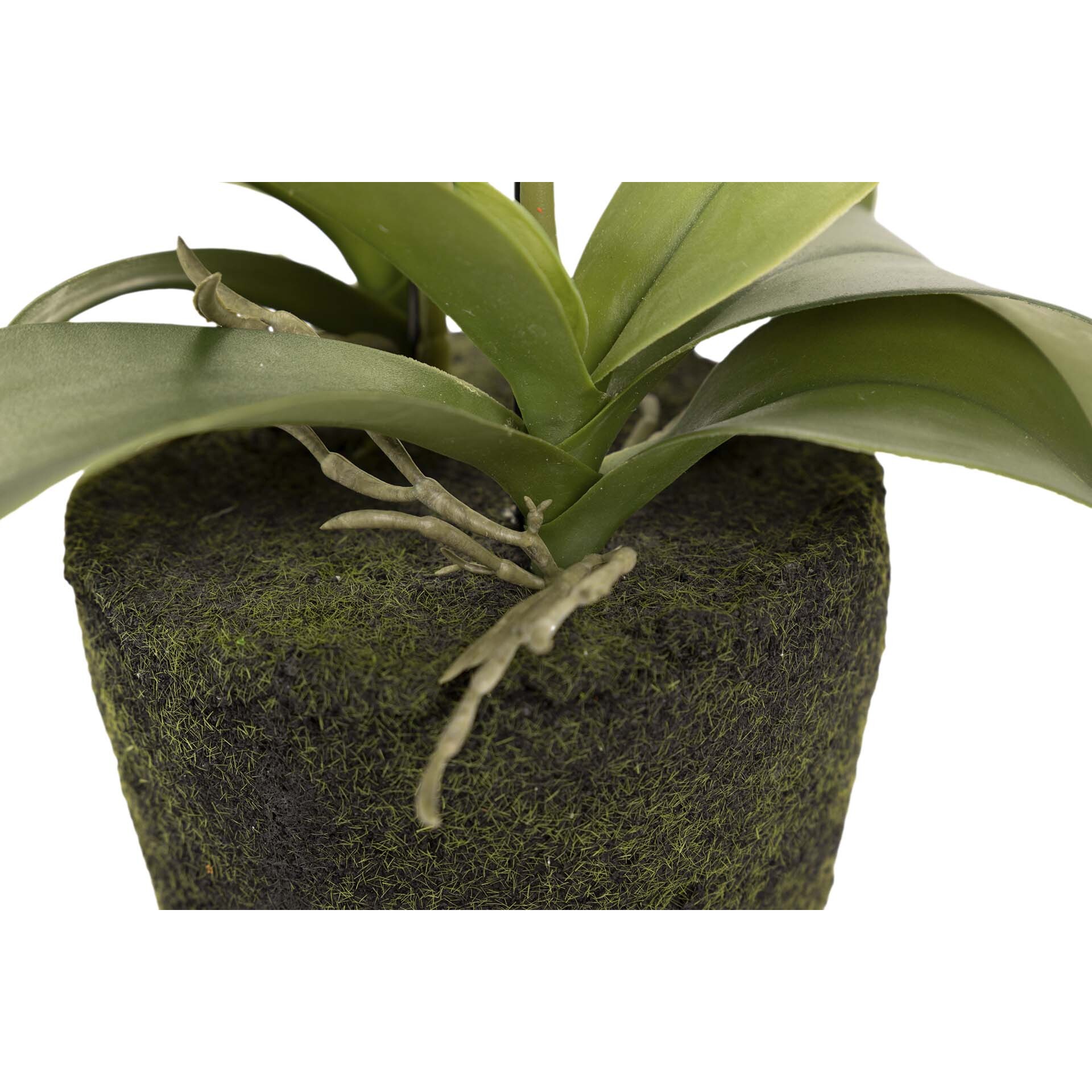 Orquidea Poliester Blanca Con Maceta 34x34x71 Cm