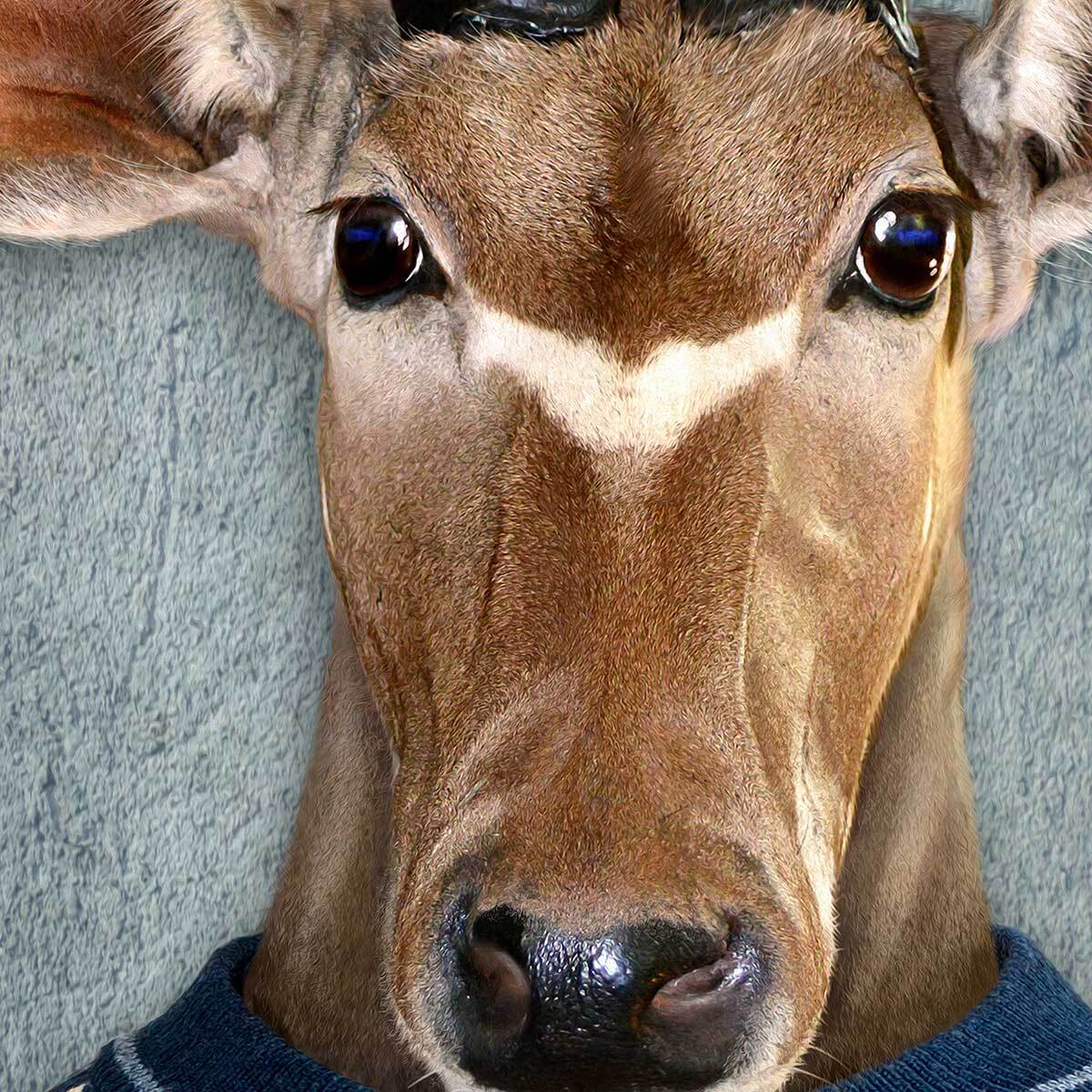 Affiche encadrée antilope élégante au pull graphique Affiche + cadre en métal - Noir