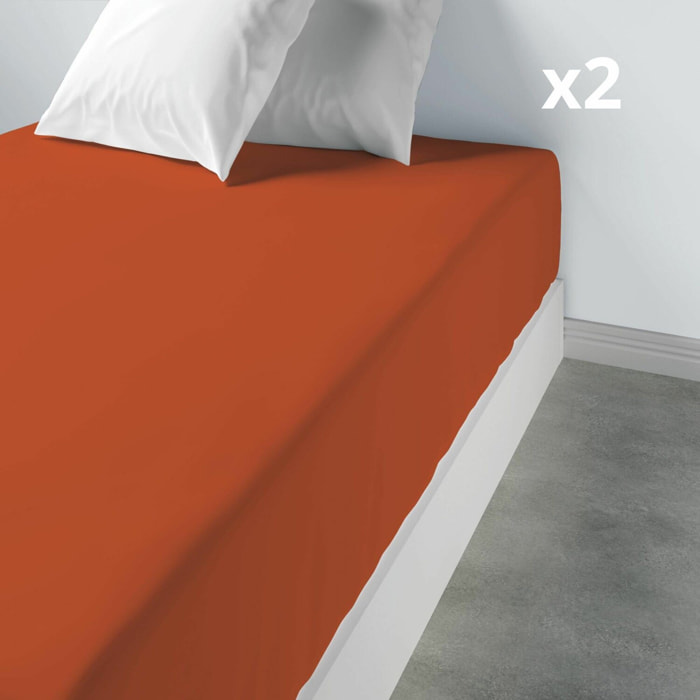 Drap housse coton 57fils uni - bonnet 35cm terracotta