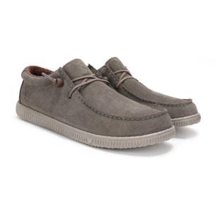 Wallabi Wp150 Tórtola