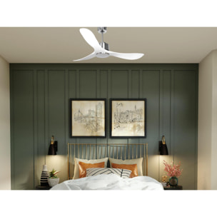 Ventilateur de plafond Wifi Moteur à courant continu Télécommande Hypersilence Mémoire Shopify Vendible (AUTOMATIQUE) 40   W argent