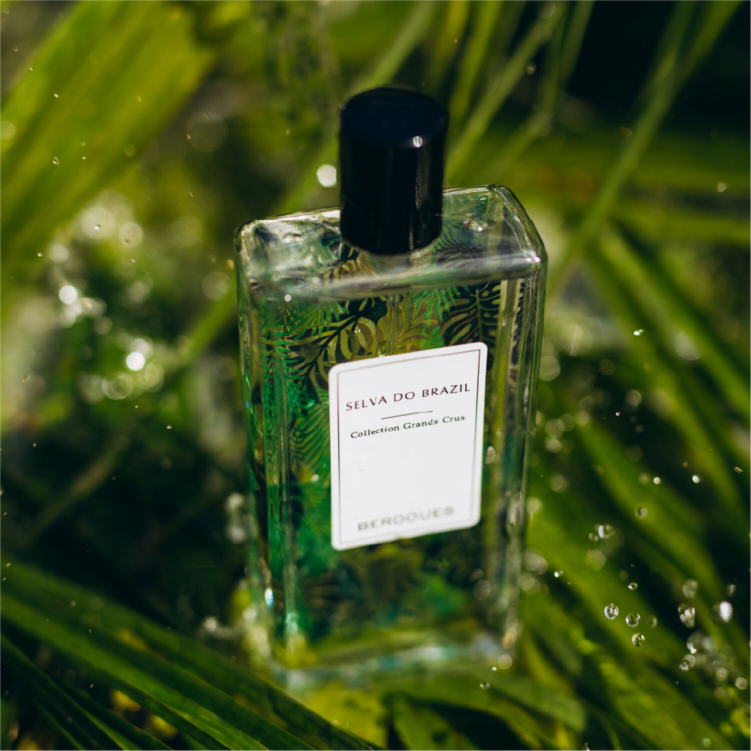 Selva Do Brazil - Eau de Parfum 100 ml
