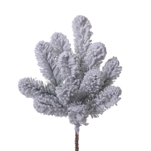 Ramo abetone per - Pezzi 12 - 15xH50x9cm - Bianchi Dino SpA