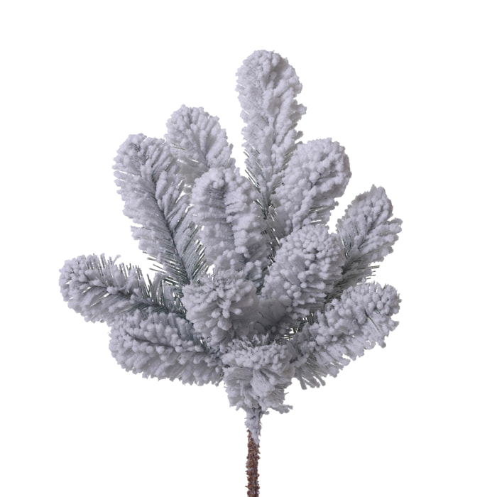 Ramo abetone per - Pezzi 12 - 15xH50x9cm - Bianchi Dino SpA