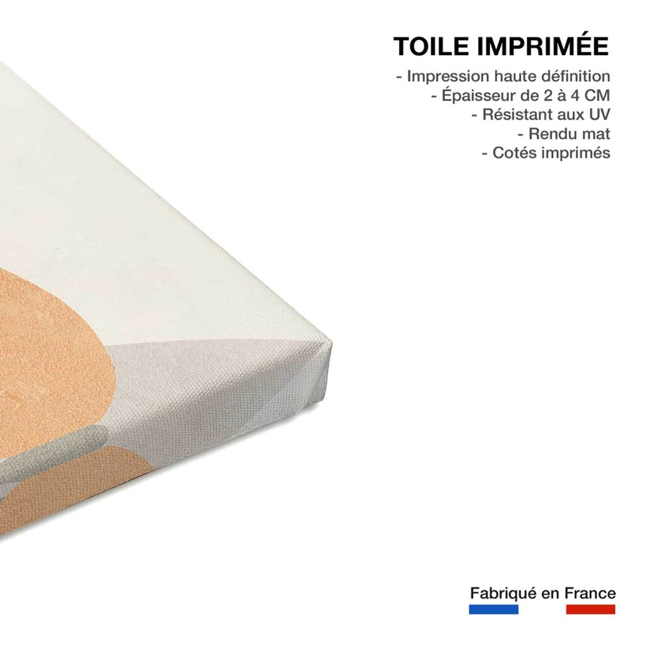 Tableau organique vase et minimalisme  Toile imprimée