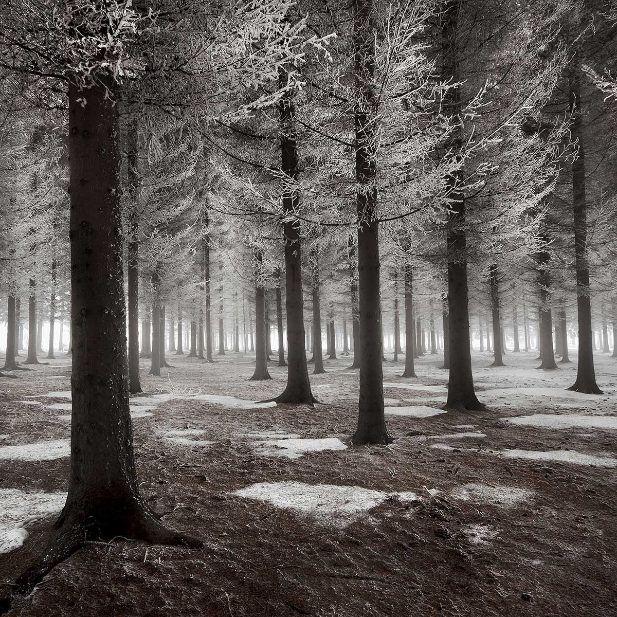 Affiche deco ""debut d'hiver"" Affiche + cadre en bois - Noir