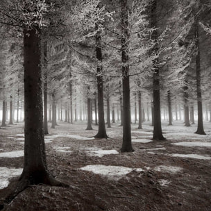 Affiche deco ""debut d'hiver"" Affiche + cadre en bois - Noir