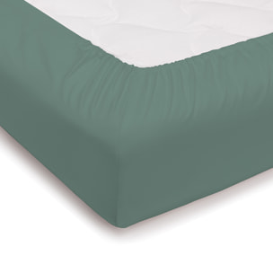 Lenzuolo sotto con angoli tinta unita verde