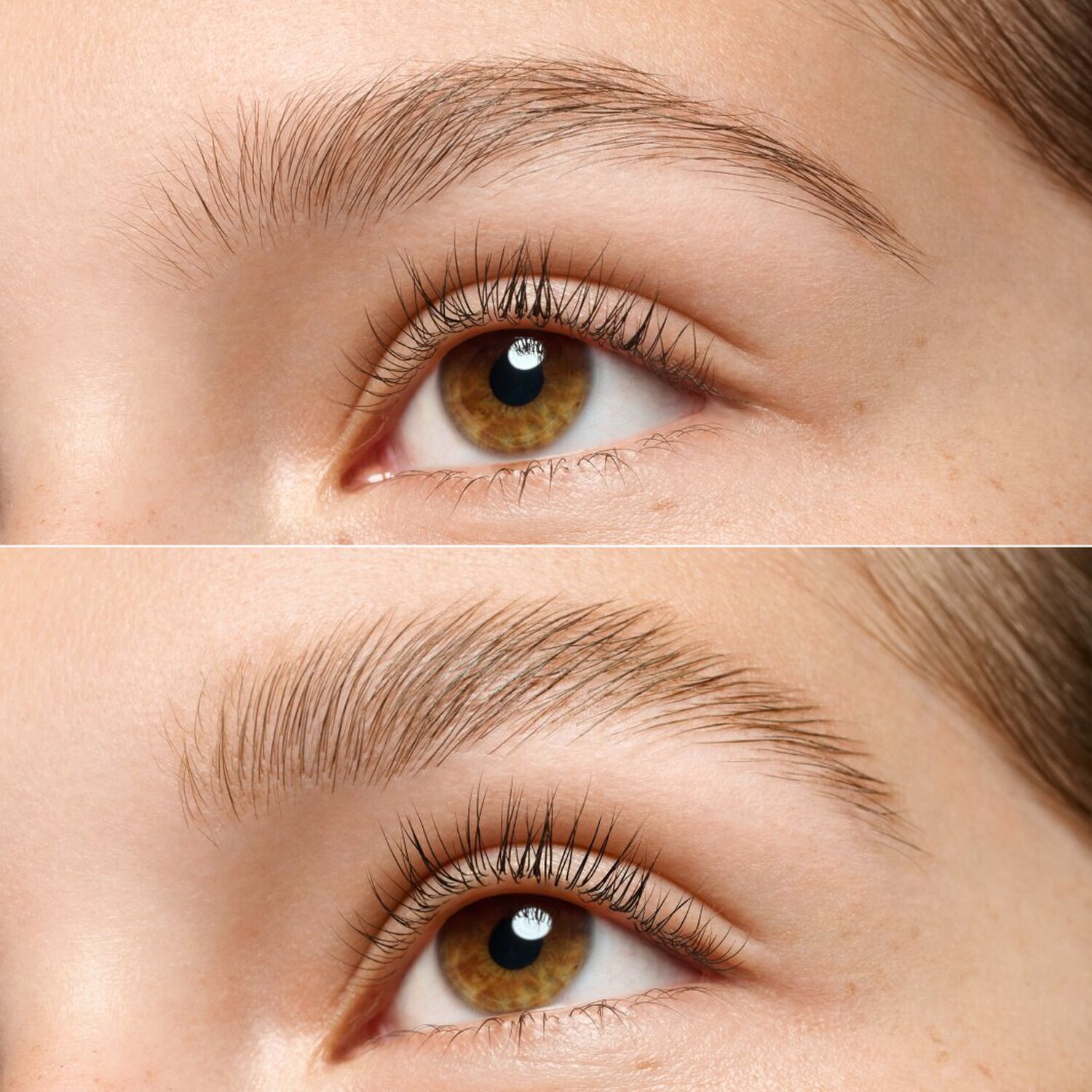 Brow Lift & Freeze Glue - Colle Sourcils Transparente Longue Tenue 7 ml