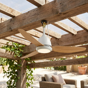 Ventilateur Plafond LED CORALI D106CM