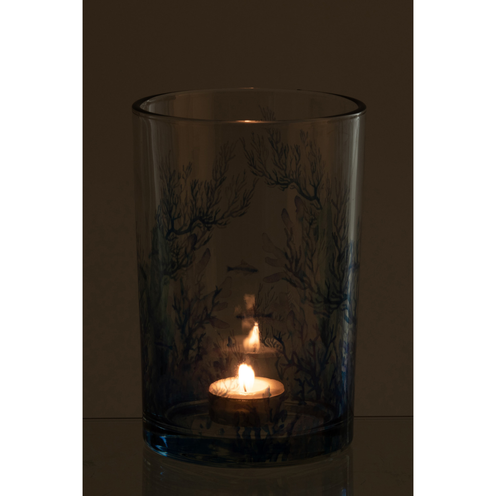 J-Line Photophore Corail - verre - bleu/transparent - large