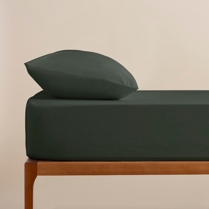 Bajera ajustable 100% algodón FOREST