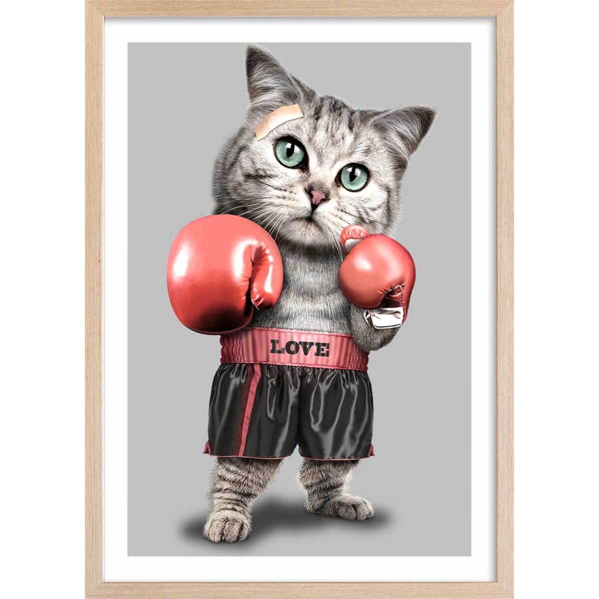 Affiche enfant chat boxeur  Affiche + cadre en bois - Chêne