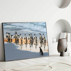 Affiche encadrée manchots sur la plage Affiche + cadre en métal - Noir