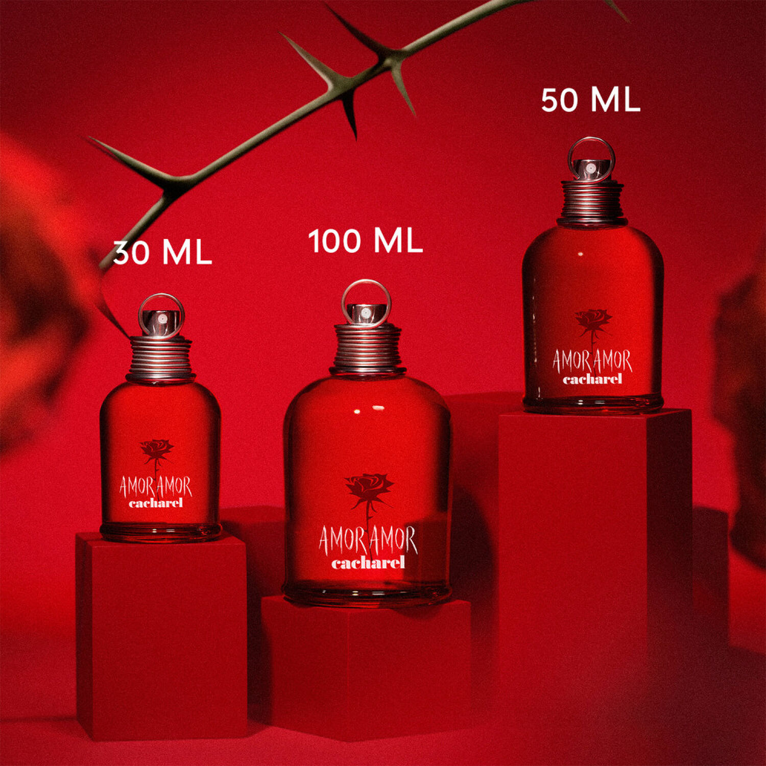 Amor Amor  - Eau de Toilette