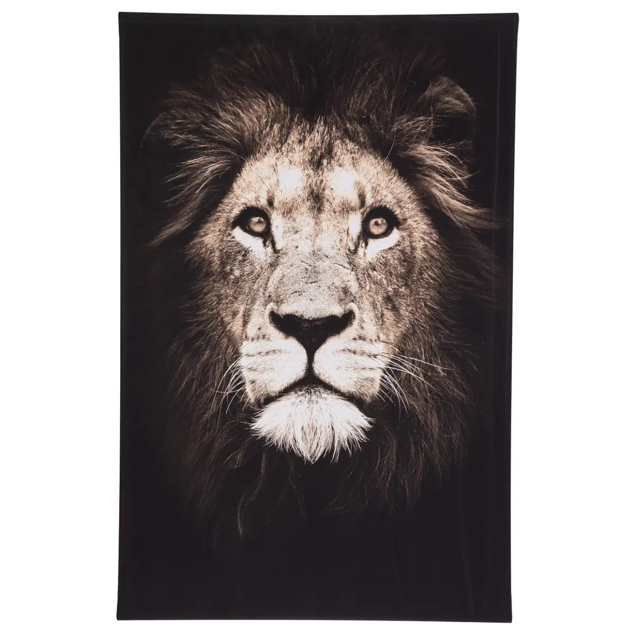 Toile encadrée "Animaux" 75x115cm