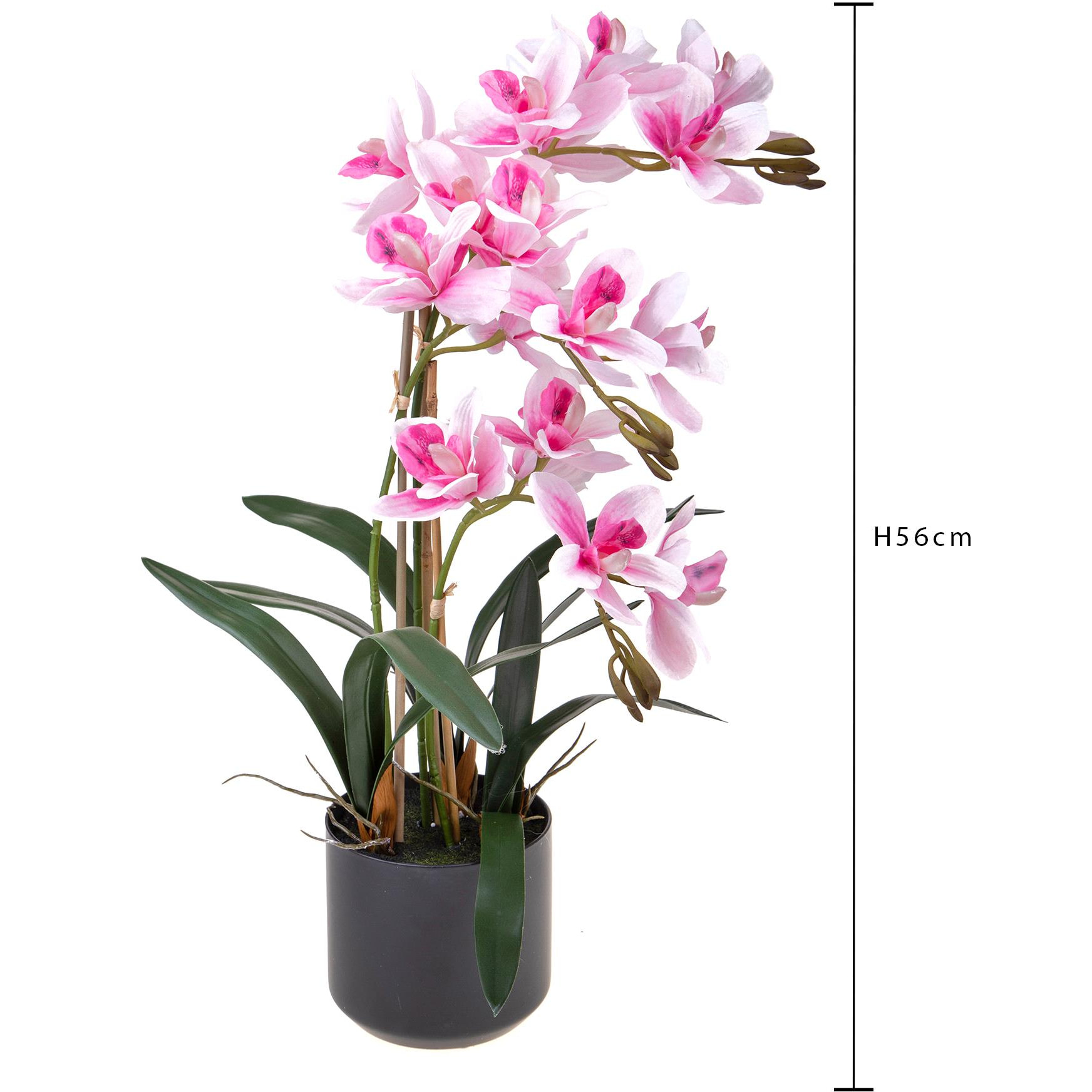 Orchidea Cymbidium Con 3 Diramzioni In Vaso. Altezza 56 Cm - Pezzi 1 - 34X56X34cm - Colore: Rosa - Bianchi Dino - Piante Artificiali