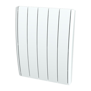 Radiateur inertie fonte 1000w